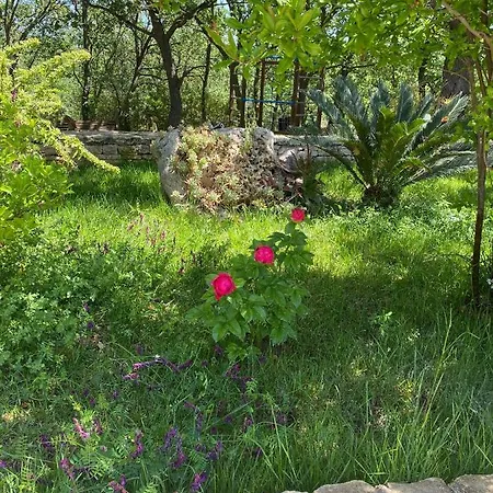 Oda ve Kahvaltı Tenuta Giannini *