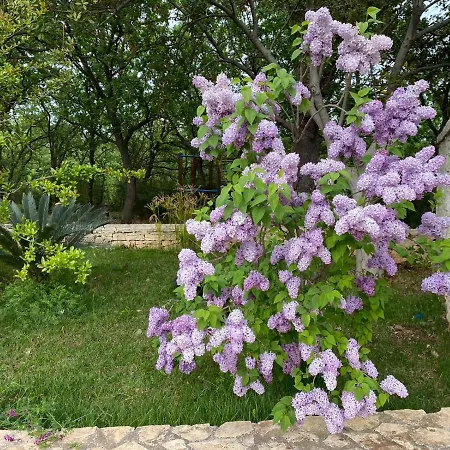 Tenuta Giannini * Bitetto