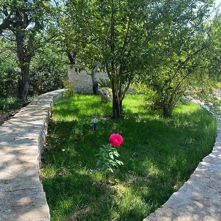 Tenuta Giannini * Bitetto